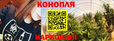 СК Лесосибирск