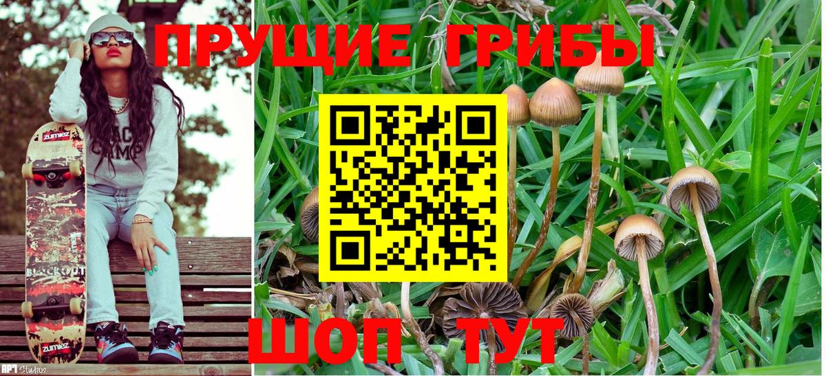 Галлюциногенные грибы Cubensis  Вход с VPN  что такое наркотик  Йошкар-Ола 