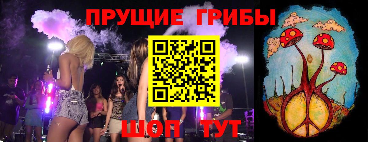 Псилоцибиновые грибы Psilocybine cubensis Йошкар-Ола